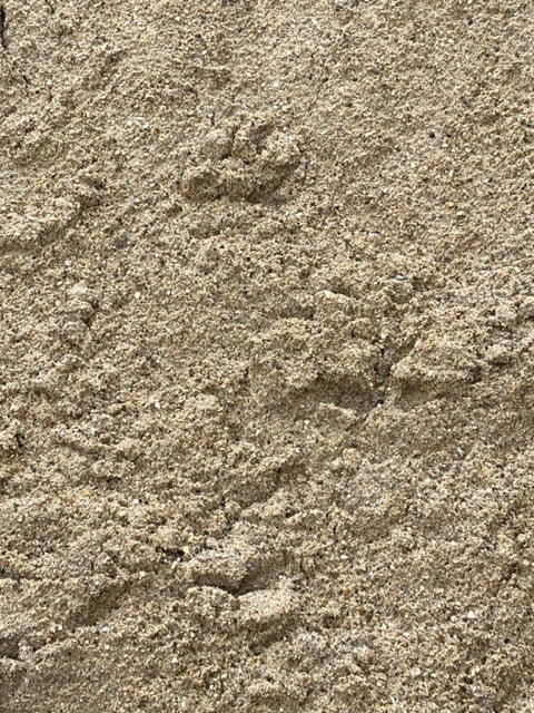 Sharp Sand