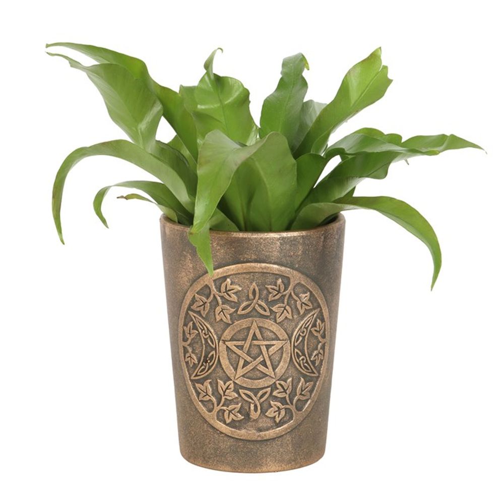 Triple Moon Bronze Terracotta Plant Pot by Lisa Parker